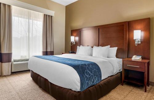 Niceville Hotel | Comfort Suites Niceville Near Eglin Air Force Base