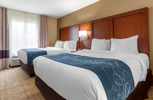 Niceville Hotel | Comfort Suites Niceville Near Elgin Air Force Base