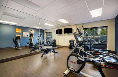 Paw Creek Hotel | Comfort Suites Northlake