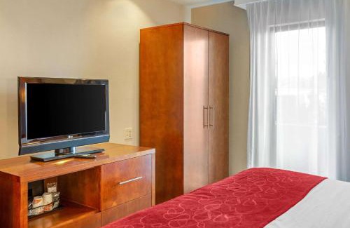Oakbrook Terrace Hotel | Comfort Suites Oakbrook Terrace near Oakbrook Center
