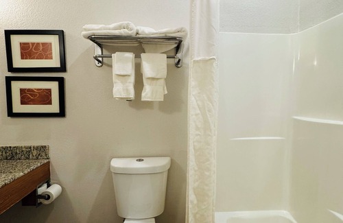 Plymouth Hotel | Comfort Suites Plymouth near US-30