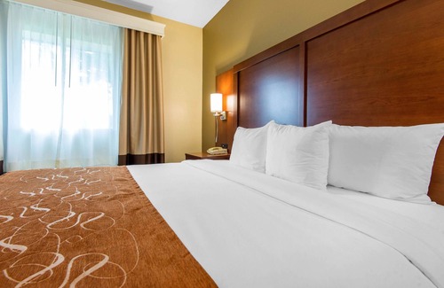 Rochester Hotel | Comfort Suites Rochester Henrietta University Area