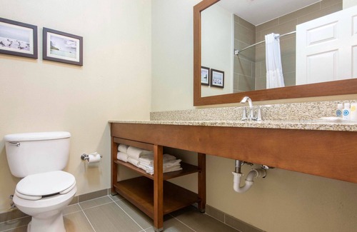 Rochester Hotel | Comfort Suites Rochester Henrietta University Area