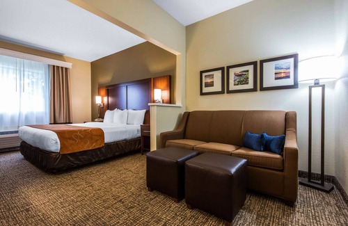 Rochester Hotel | Comfort Suites Rochester Henrietta University Area