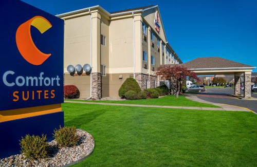 Saginaw Hotel | Comfort Suites- Saginaw