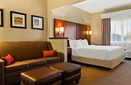 Saginaw Hotel | Comfort Suites- Saginaw