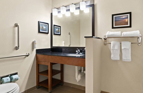 Saginaw Hotel | Comfort Suites Saginaw