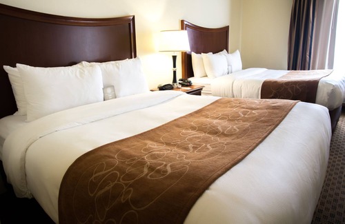 North San Antonio - SAT Hotel | Comfort Suites San Antonio North - Stone Oak