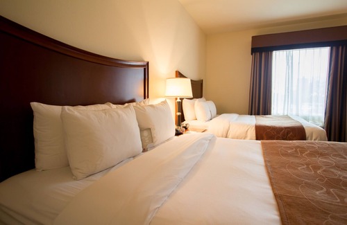 North San Antonio - SAT Hotel | Comfort Suites San Antonio North - Stone Oak