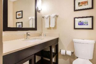 Franklin Park Hotel | Comfort Suites - South Austin