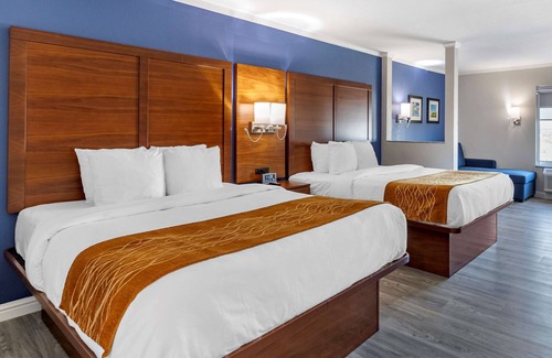 Sunset Hills Hotel | Comfort Suites St. Louis - Sunset Hills