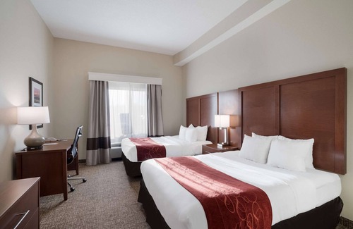 Norfolk - Virginia Beach Hotel | Comfort Suites Suffolk - Chesapeake
