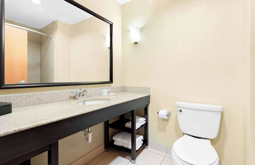 Bearss Plaza Hotel | Comfort Suites Tampa Airport North