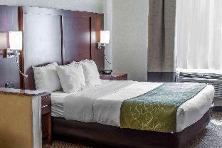 Castle Rock Hotel | Comfort Suites
