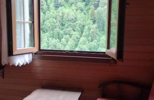 Ayder Yaylasi Villa | Comfort Triple Room - Fora Pensionn
