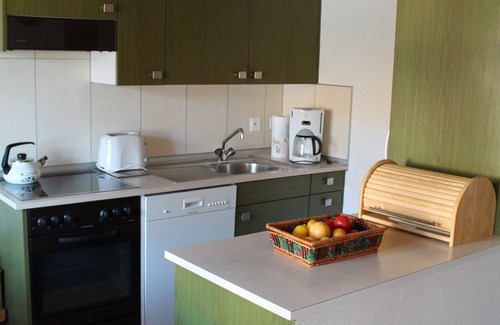 Brienz Apartment | Comfort vacation apartment on the foot of the Rothorn in sunny, quiet location