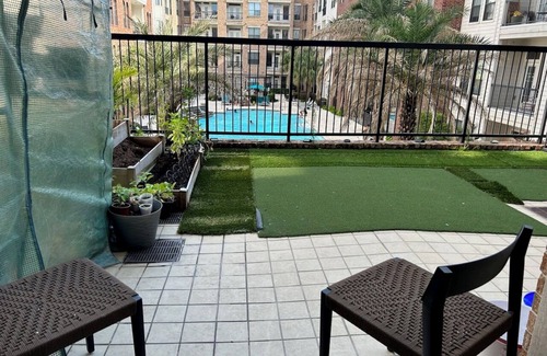 Houston Apartment | Comfortable 1bd Near Galleria With Great pool View
