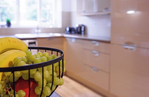 Aylesbury House | Comfortable 4-bedroom home/park view/pet friendly/close to the hospital