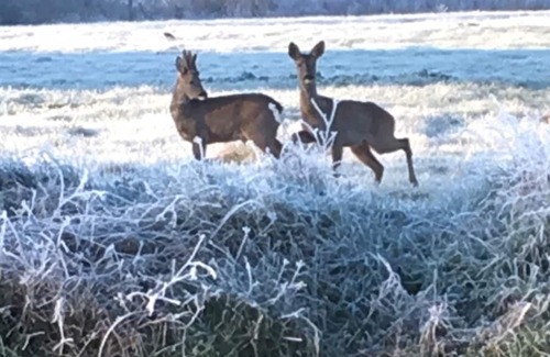 Sainte Croix de Beaumont House | Comfortable and warm group accommodation in the heart of nature
