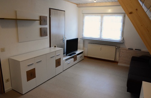 Immendingen Apartment | Comfortable apartment in the 2OG.parking directly at the house.hikers and cyclists paradise.