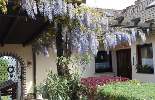 Roedental Apartment | Comfortable apartment (55m2) with terrace and garden