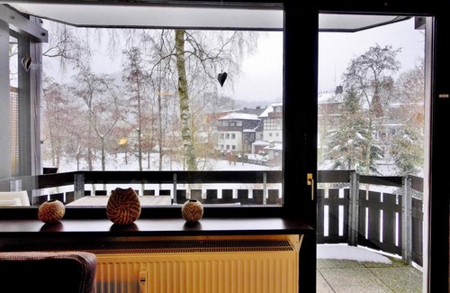 Ortsmitte Apartment | Comfortable apartment NELLY* at the Kurpark - Willingen's best location!