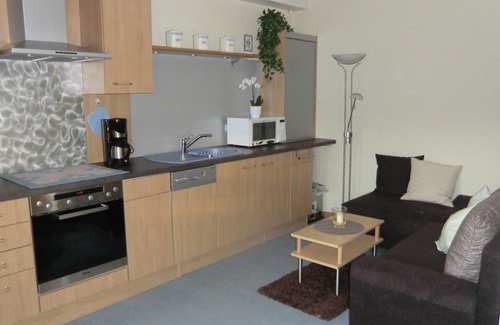 Mainz-Bingen Apartment | Comfortable apartment in the vineyards with a wonderful view of the Rhine and castles