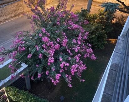 Biassono Apartment | Comfortable apartment - Monza park with garage
