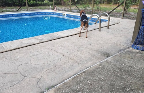 Winter Haven House | Comfortable bedroom and house to stay in w/swimming pool.