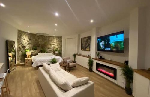 San Miguel de Allende Apartment | Comfortable loft and great location