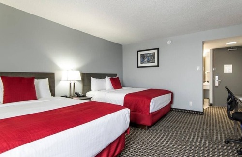 Grande Prairie Hotel | Comfortable Retreat Near Airport – Perfect For Business Trips!