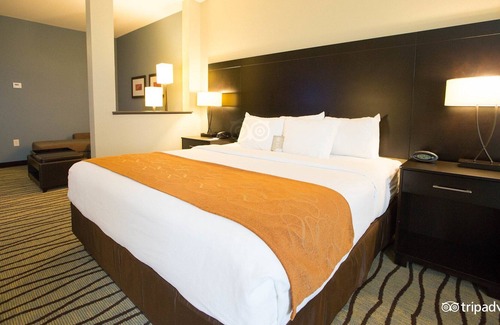 Chinatown Apartment | Comfortable retreat in Chinatown