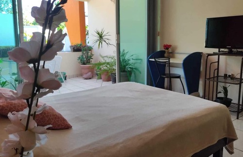 Veracruz Bed & Breakfast | Comfortable room with terrace and kitchenette