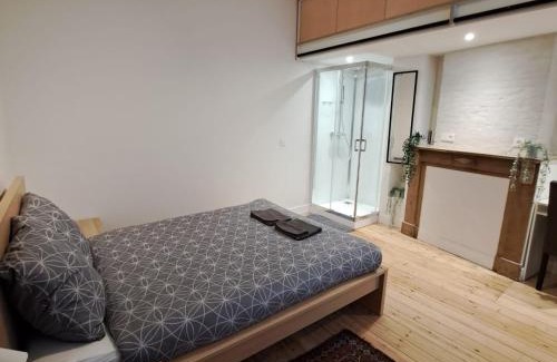 Onze-Lieve-Vrouw-ter-Sneeuw House | Comfortable room with terrace European Parliament