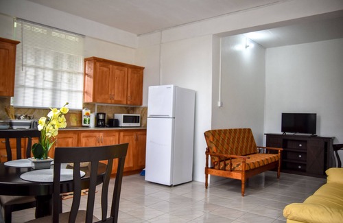 Saint George Parish Apartment | Comfortable Studio Apartment with Full Kitchen and Dining in Roseau