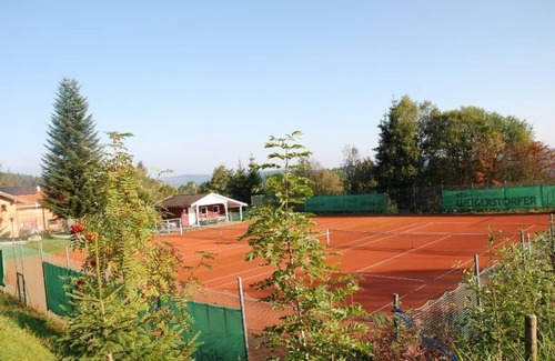 Mitterfirmiansreut Apartment | Comfortable vacation apartment (75 sqm) with eat-in kitchen and terrace