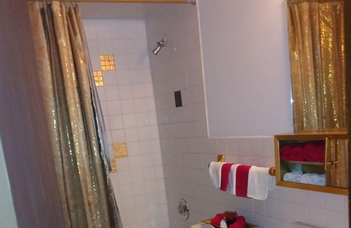 Lansing Condo | Comfortable vibrant condo. 15 minutes to Chicago