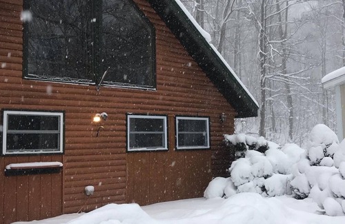 Beulah House | Comfy Cabin: Near Sleeping Bear Dunes & Frankfort
