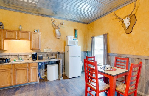 Cayuga Apartment | Community Pier: Cozy Kerens Cabin!