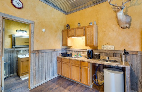 Cayuga Apartment | Community Pier: Cozy Kerens Cabin!