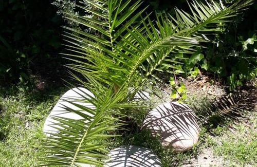 Cuadro Nacional Apartment | Complejo Cabañas Las Moras