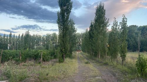 General San Martin Cabin | Complejo la Paz Mendoza