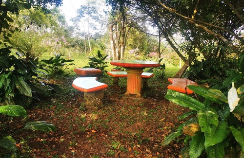 San Ramon House | Complete Cabin and Mountain Farm