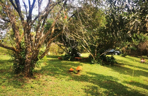 San Ramon House | Complete Cabin and Mountain Farm