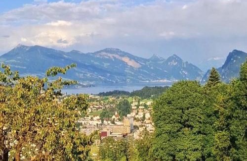 Kriens Other | Completely Open Barn-Nature Höllhof Adventure with panoramic view outdoor -near Lucerne