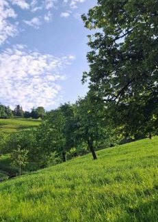 Kriens Other | Completely Open Barn-Nature Höllhof Adventure with panoramic view outdoor -near Lucerne