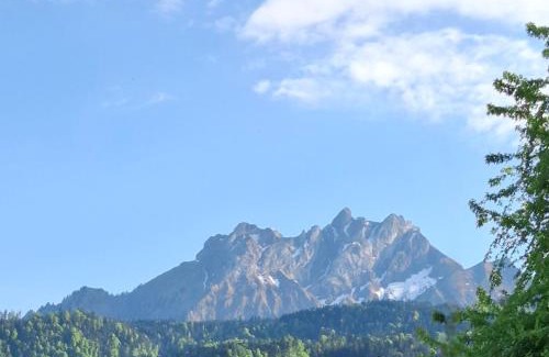 Kriens Other | Completely Open Barn-Nature Höllhof Adventure with panoramic view outdoor -near Lucerne