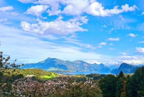 Kriens Other | Completely Open Barn-Nature Höllhof Adventure with panoramic view outdoor -near Lucerne