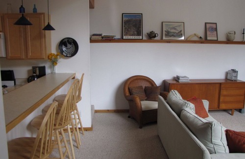 Telluride House | Completely renovated historic home, ideal location in town, walk to everything
