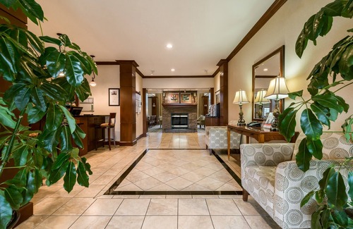 Oak Apartment | Complimentary Breakfast Buffet | Minutes from Shopping + White Sand Beaches